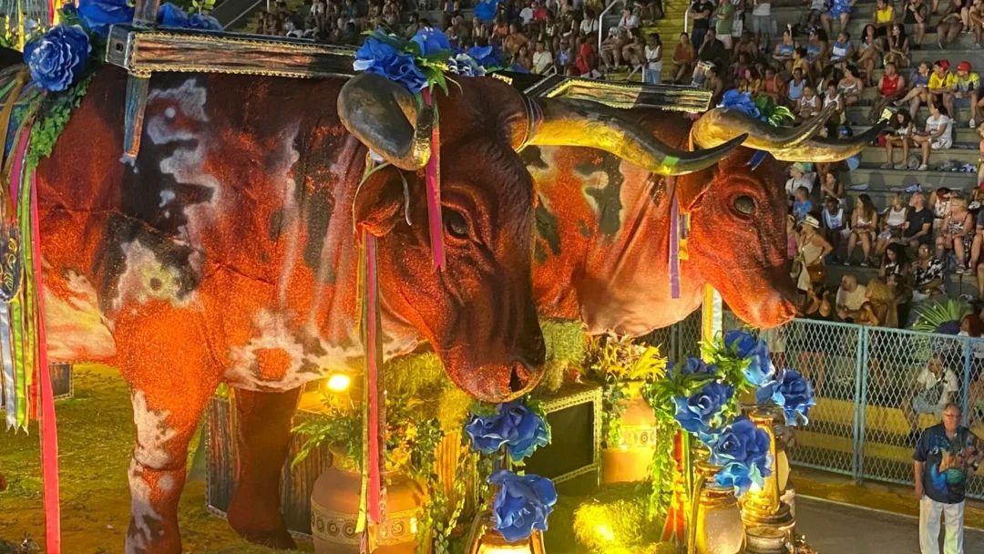 “Tijuca Fecha o Carnaval do Rio com Alma, História e Resistência: A Sapucaí Vibrou com a Voz de Carolina Maria de Jesus”