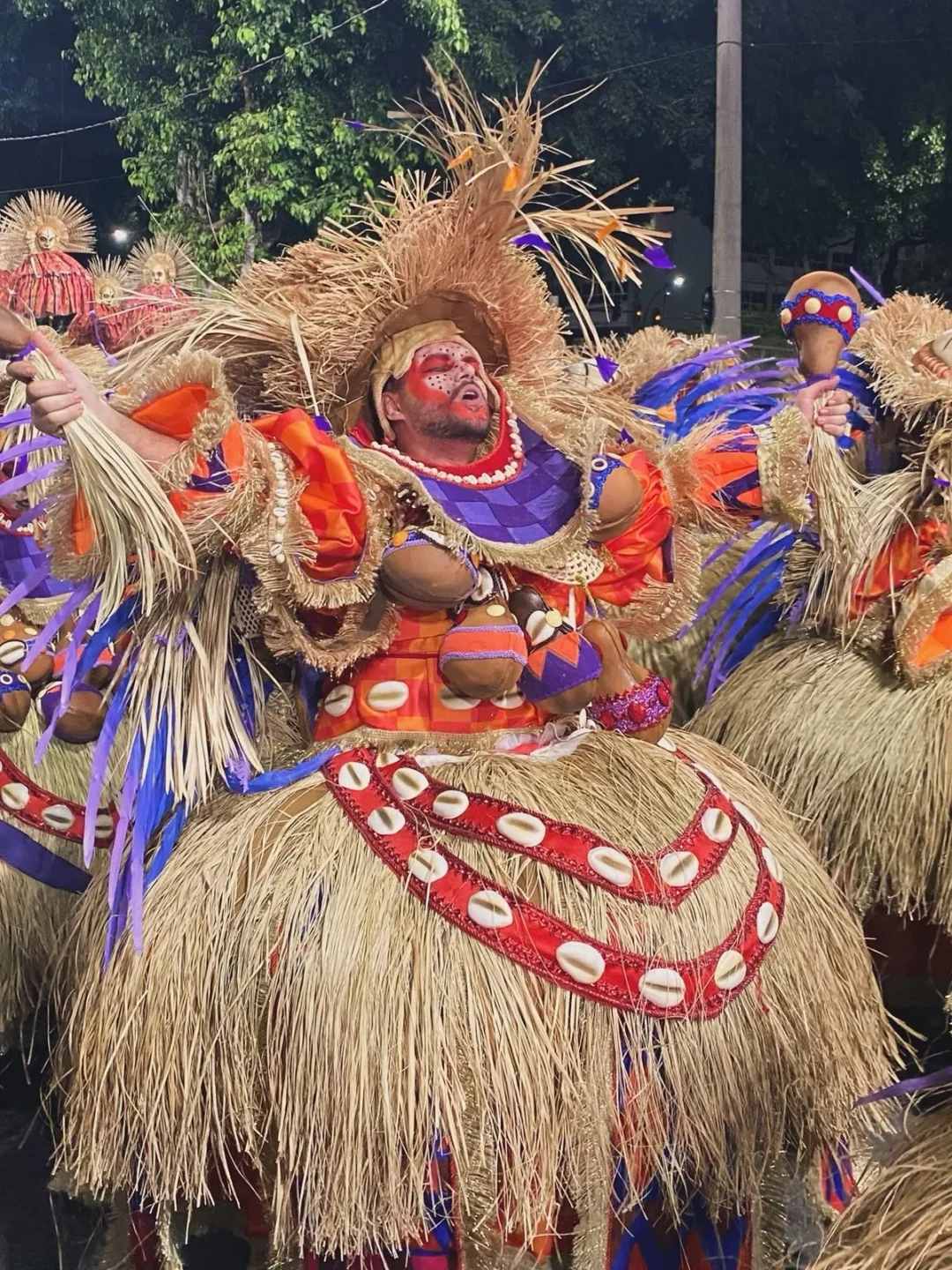 Carnaval 2026: ancestralidade, espiritualidade e a força coletiva dos enredos que ressoam além da avenida (16)